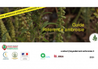 Guide_referent_ambroisie avec modif 2021